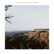 Better on your own (voice memo)