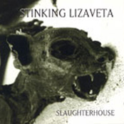 Running From The Enemy by Stinking Lizaveta