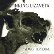 The Drop by Stinking Lizaveta