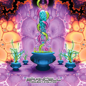 Bodyspeaker 2008 by Braincell