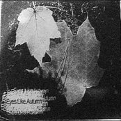 Demo Artwork