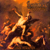 Dark Seraphim / Ripped to Pieces