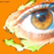 Oak Trees Will Keep Away the Summer!