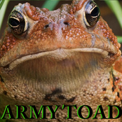 army toad