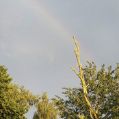 Will we ever meet again?