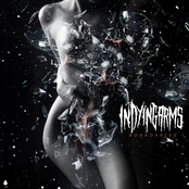 Goregeous by In Dying Arms