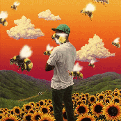Flower Boy
