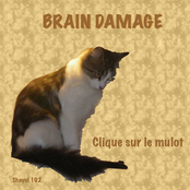 Clique Sur Le Mulot by Brain Damage