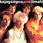 Too Shy-The Singles...And More
