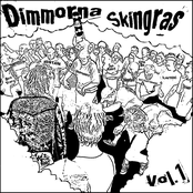 Dimmorna skingras