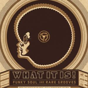 What It Is! Funky Soul and Rare Grooves (1967-1977)