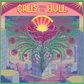 Calls from the Hull Vol II (Another 11 recordings from the Rotterdam Underground)