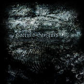 Facing Infinity Without Flinch