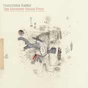 Frightened Rabbit: The Midnight Organ Fight