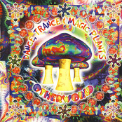 Dance, Trance & Magic Plants - Otherworld