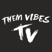Them Vibes: T V