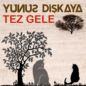 Tez Gele