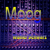 Moog - Walter Schwarz