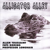 Allen Toussaint / Fats Dom...