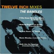 Twelve Inch Mixes cover