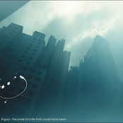 The Smell Of A Life That Could