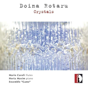 Doina Rotaru: Crystals