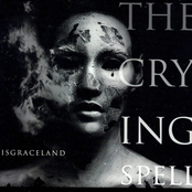 Born On The Bayou by The Crying Spell