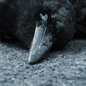 Wandering Ghosts + Forgotten Places