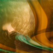 Something You Could Never Love