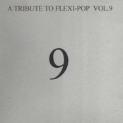 A Tribute To Flexi-Pop Vol.9