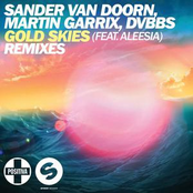 Gold Skies (feat. Aleesia) - EP