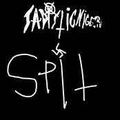 split