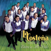 Como Yo Nadie Te Ha Amado by Banda La Costeña