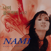 나미 골든히트 Vol. 2