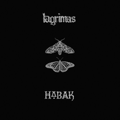 Habak: Habak / Lagrimas Split