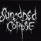 shredded corpse