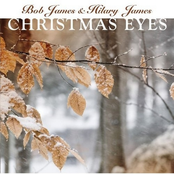 Winter Wonderland by Bob James & Hilary James