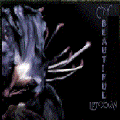 My Beautiful Letdown Demo