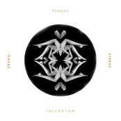 Zrsha; Fundus Uterus