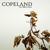 Sleep by Copeland