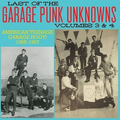 Last Of The Garage Punk Unknowns Vol 3&4