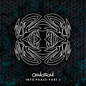 Into Phase: Part 2