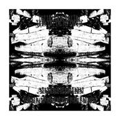 SHRIEKING CONSTELLATIONS