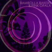 Bambolla Bakers & Pink Opala