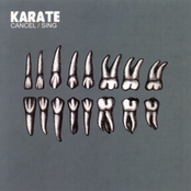 Sing by Karate