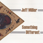 Many Times I Wonder by Jeff Miller