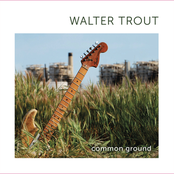 Walter Trout: Common Ground