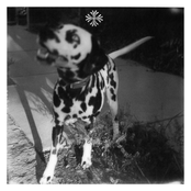 Temptress / Gift of Life