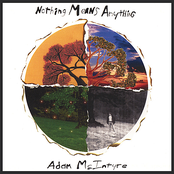 Nothing Means Anything by Adam Mcintyre