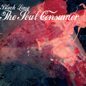 If The Soul Resides In The Flesh by Black Lung